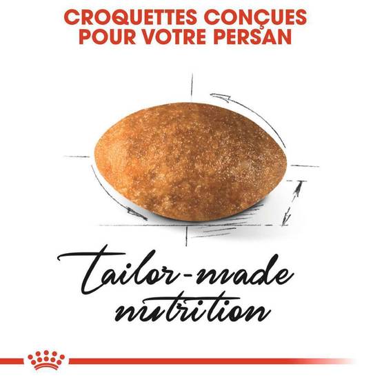 Royal Canin - Croquettes Chat Persian Adult - ROYAL CANIN - Image 3