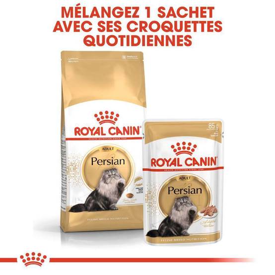 Royal Canin - Croquettes Chat Persian Adult - ROYAL CANIN - Image 5