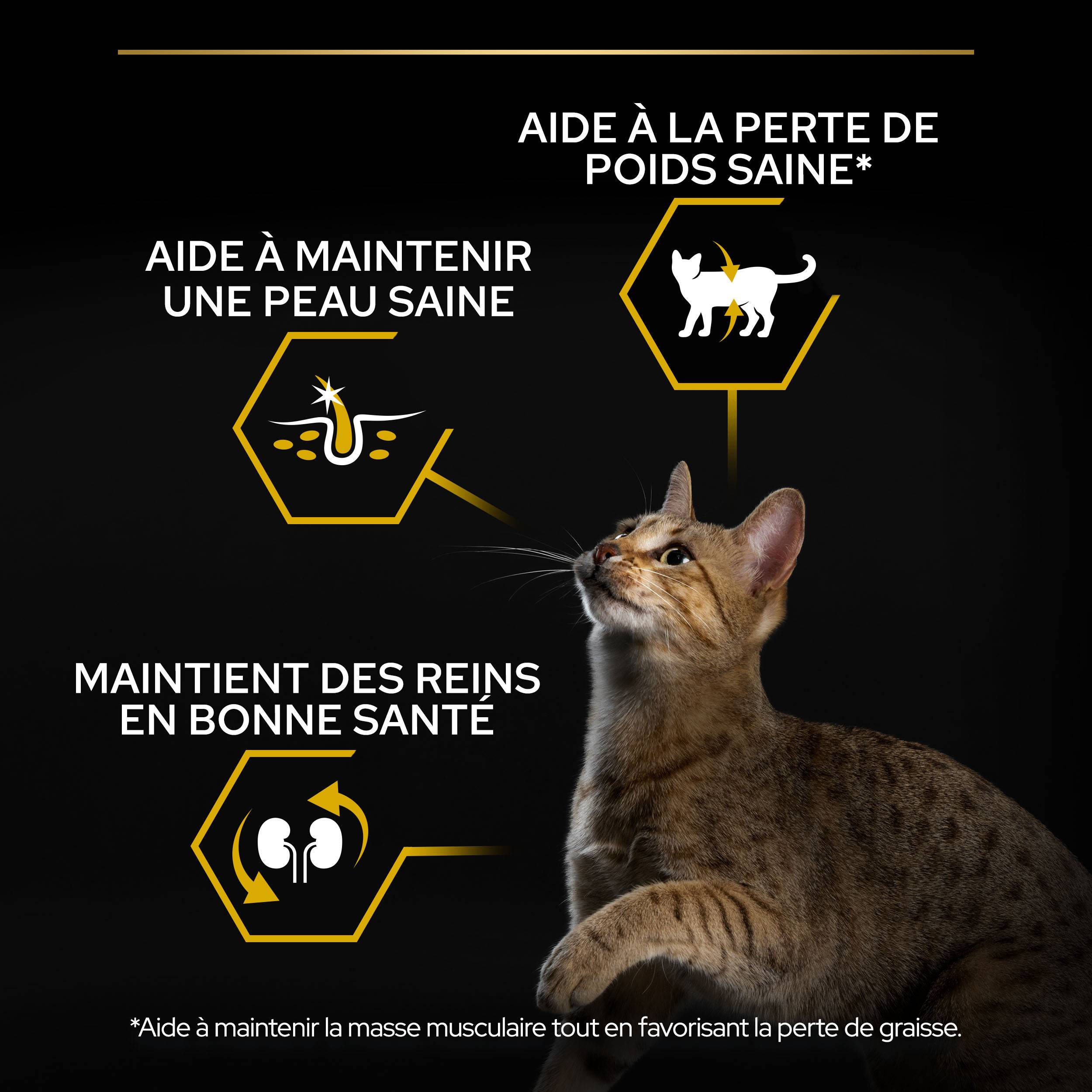 Purina Pro Plan - Croquettes chat Adulte Light 3 kg - PRO PLAN - Imagen 4
