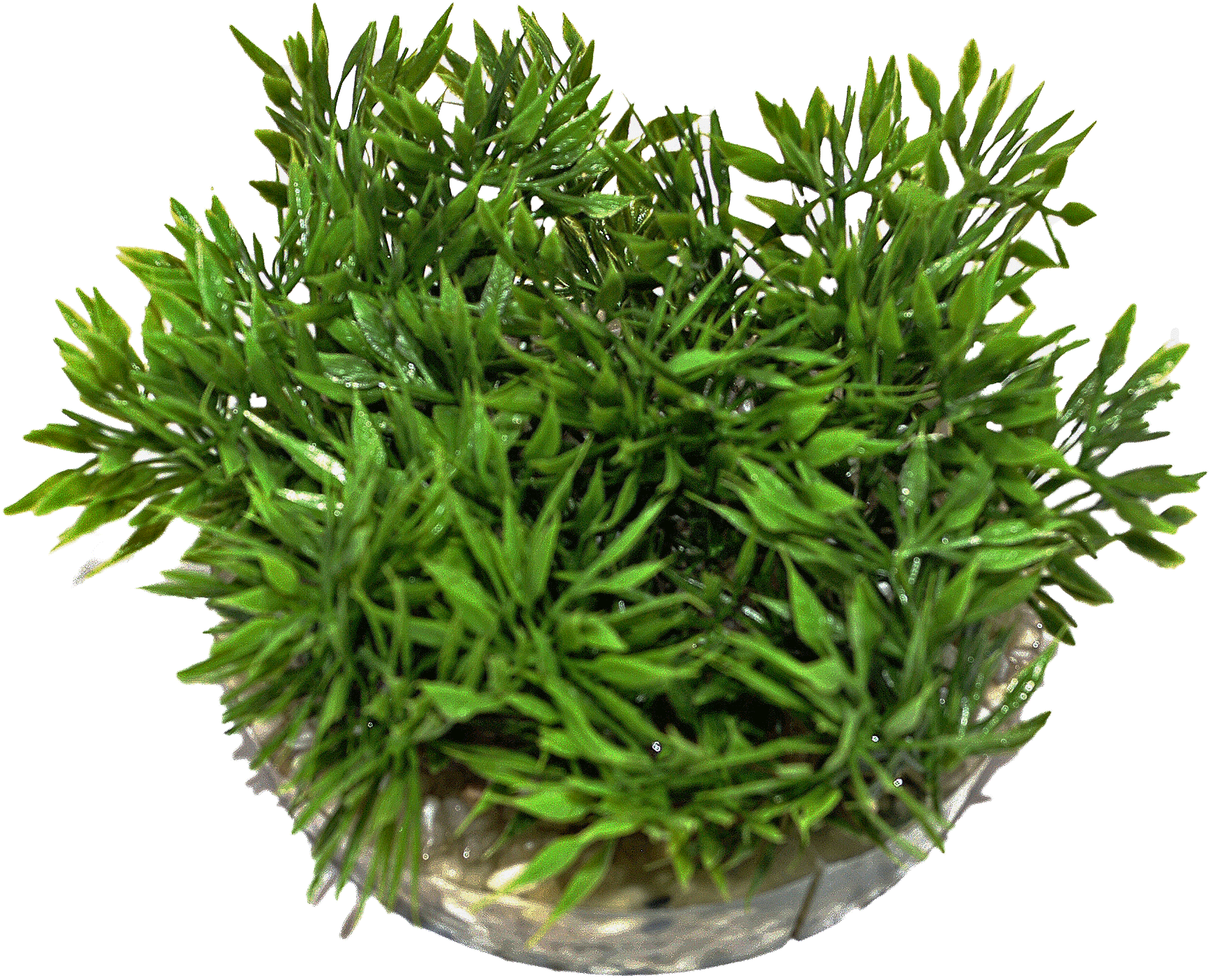 Labéo - Labéo - Décor carré gazon vert artificiel - Ø.6 x H.9 cm