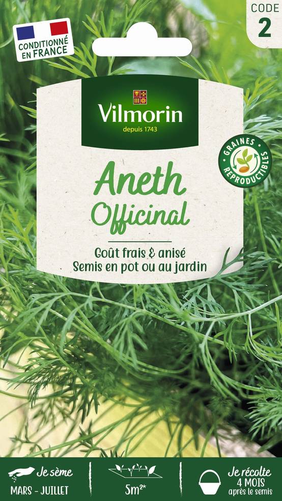 Vilmorin - Aneth officinal série 2 sachet graines 5 g - Vilmorin - Image 2