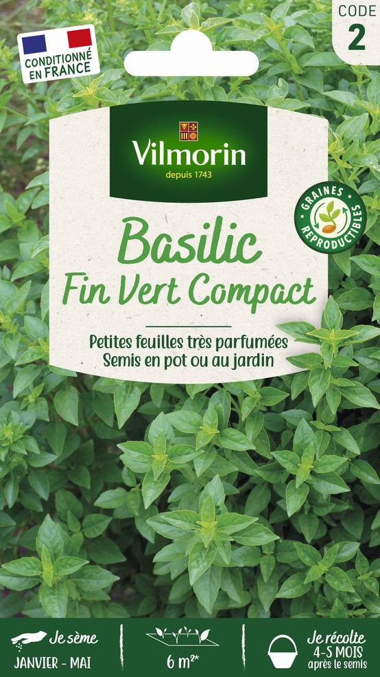 Vilmorin - Basilic fin vert compact série 2 sachet graines 2 g - Vilmorin - Image 2