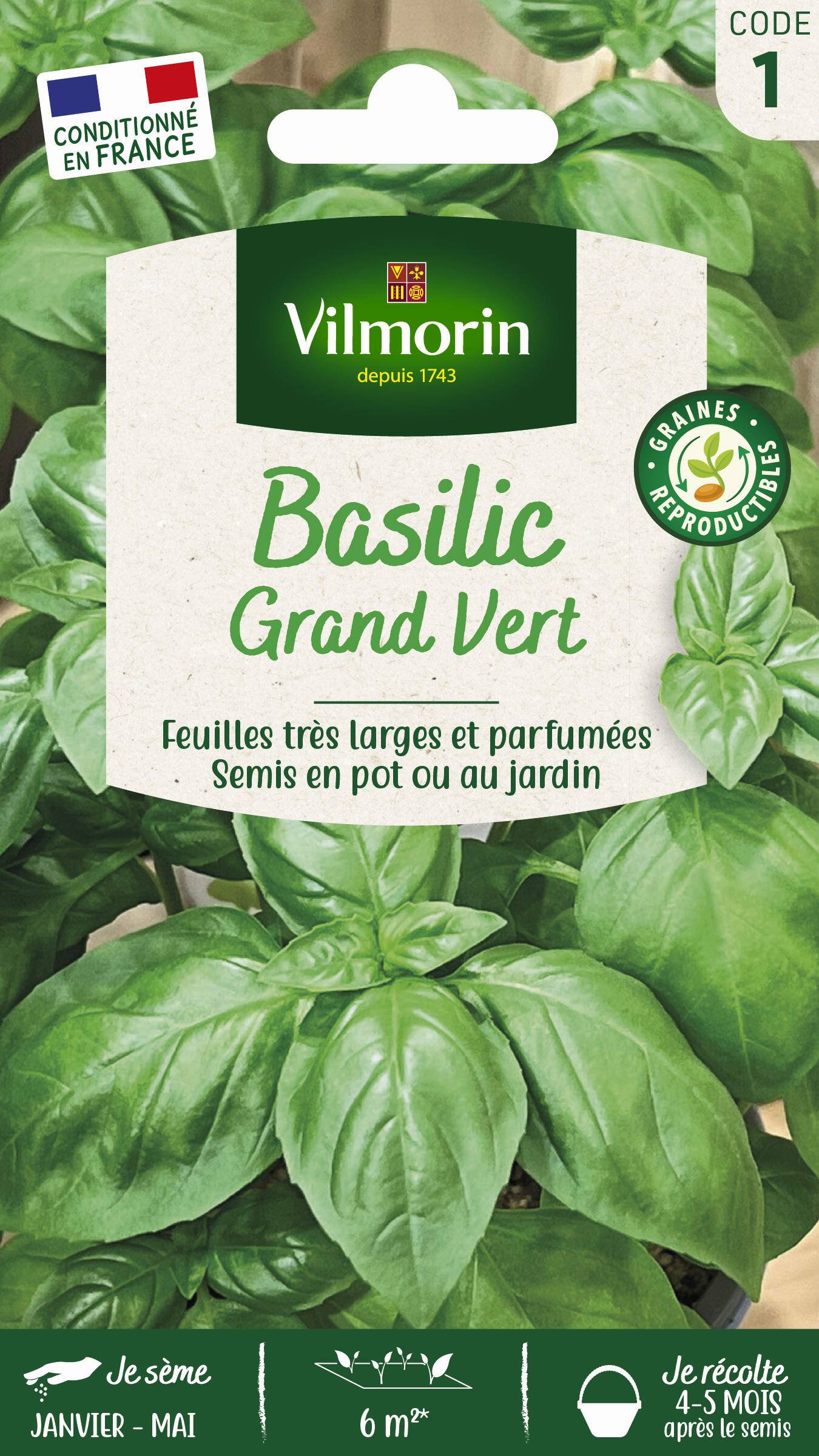 Vilmorin - Basilic grand vert série 1 sachet graines 2 g - Vilmorin