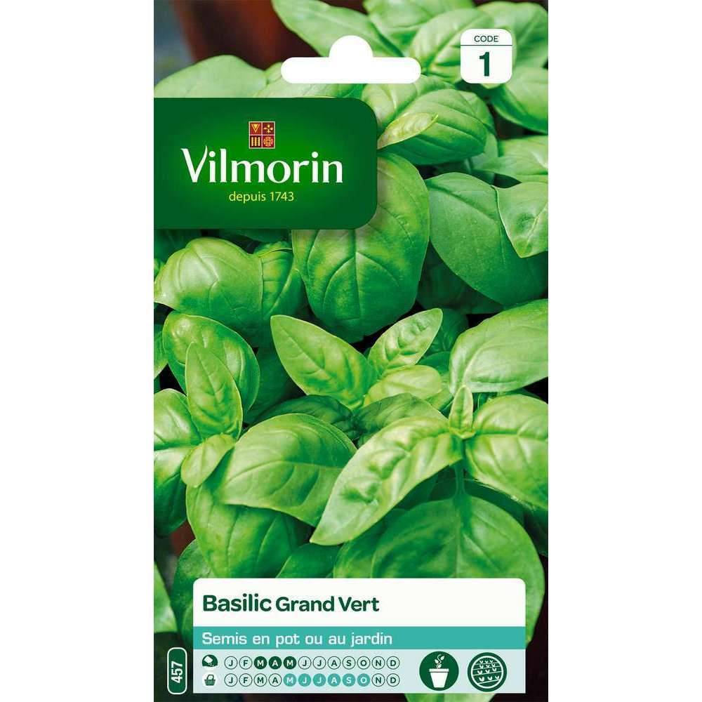 Vilmorin - Basilic grand vert série 1 sachet graines 2 g - Vilmorin - Image 2