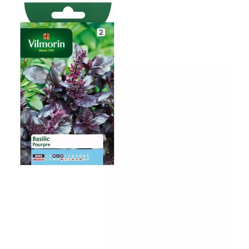 Vilmorin - Basilic pourpre série 2 sachet graines 1 g - Vilmorin