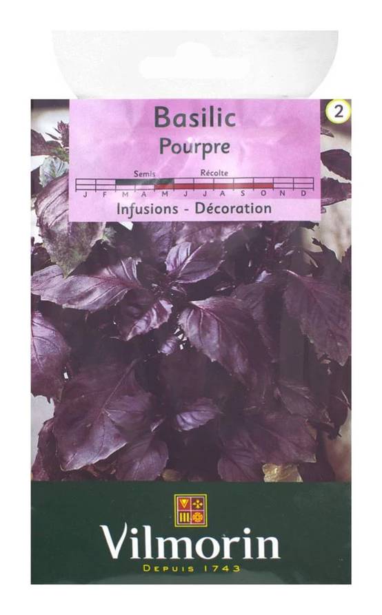 Vilmorin - Basilic pourpre série 2 sachet graines 1 g - Vilmorin - Image 2