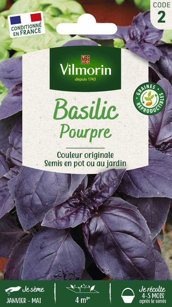Vilmorin - Basilic pourpre série 2 sachet graines 1 g - Vilmorin - Image 3
