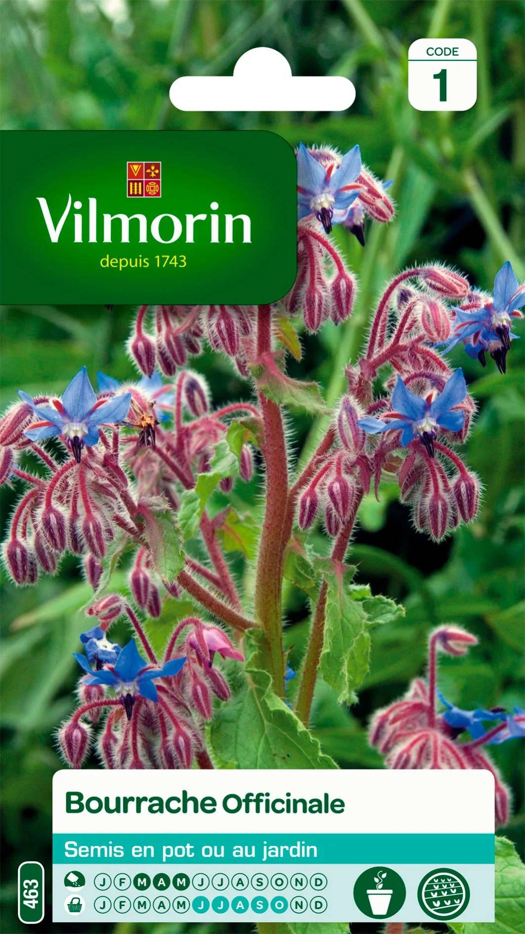Vilmorin - Bourrache officinale série 1 sachet graines 1 g - Vilmorin - Image 1