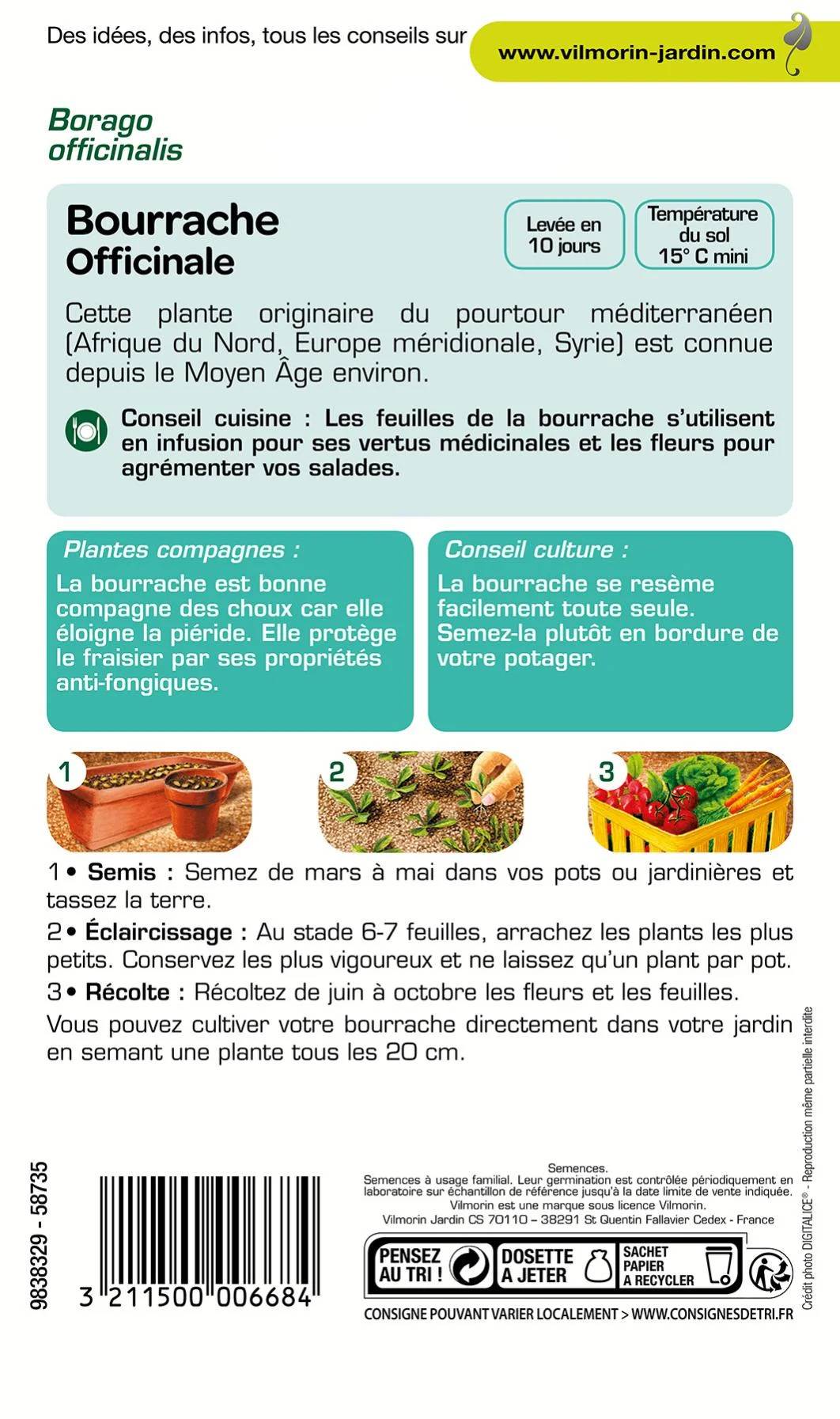 Vilmorin - Bourrache officinale série 1 sachet graines 1 g - Vilmorin - Image 2