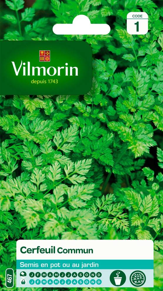 Vilmorin - Cerfeuil commun série 1 sachet graines 2,5 g - Vilmorin - Image 1