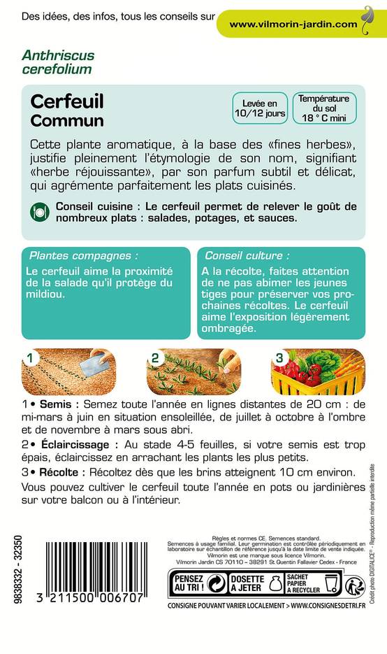 Vilmorin - Cerfeuil commun série 1 sachet graines 2,5 g - Vilmorin - Image 2