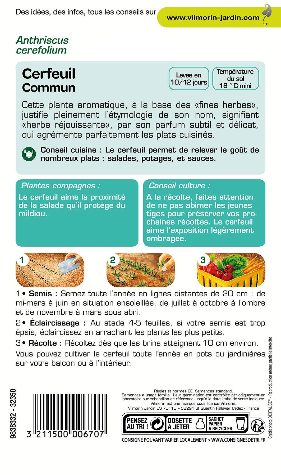 Vilmorin - Cerfeuil commun série 1 sachet graines 2,5 g - Vilmorin - Image 2