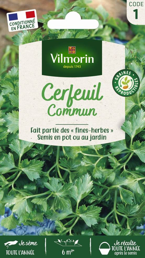 Vilmorin - Cerfeuil commun série 1 sachet graines 2,5 g - Vilmorin - Image 3