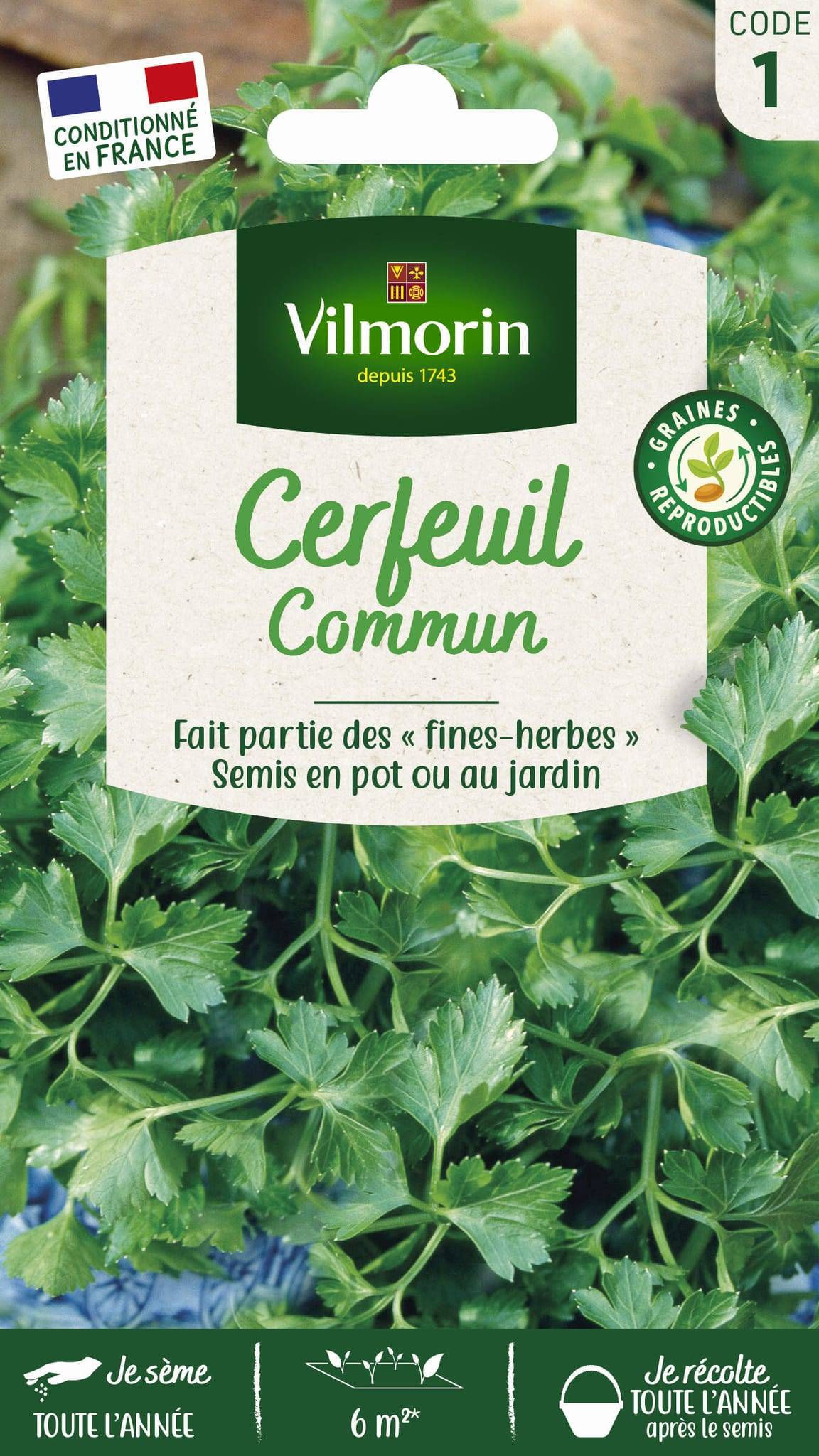 Vilmorin - Cerfeuil commun série 1 sachet graines 2,5 g - Vilmorin - Image 3