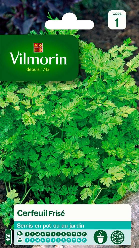 Vilmorin - Cerfeuil frisé série 1 sachet graines 2,5 g - Vilmorin - Image 2