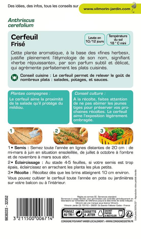 Vilmorin - Cerfeuil frisé série 1 sachet graines 2,5 g - Vilmorin - Image 4