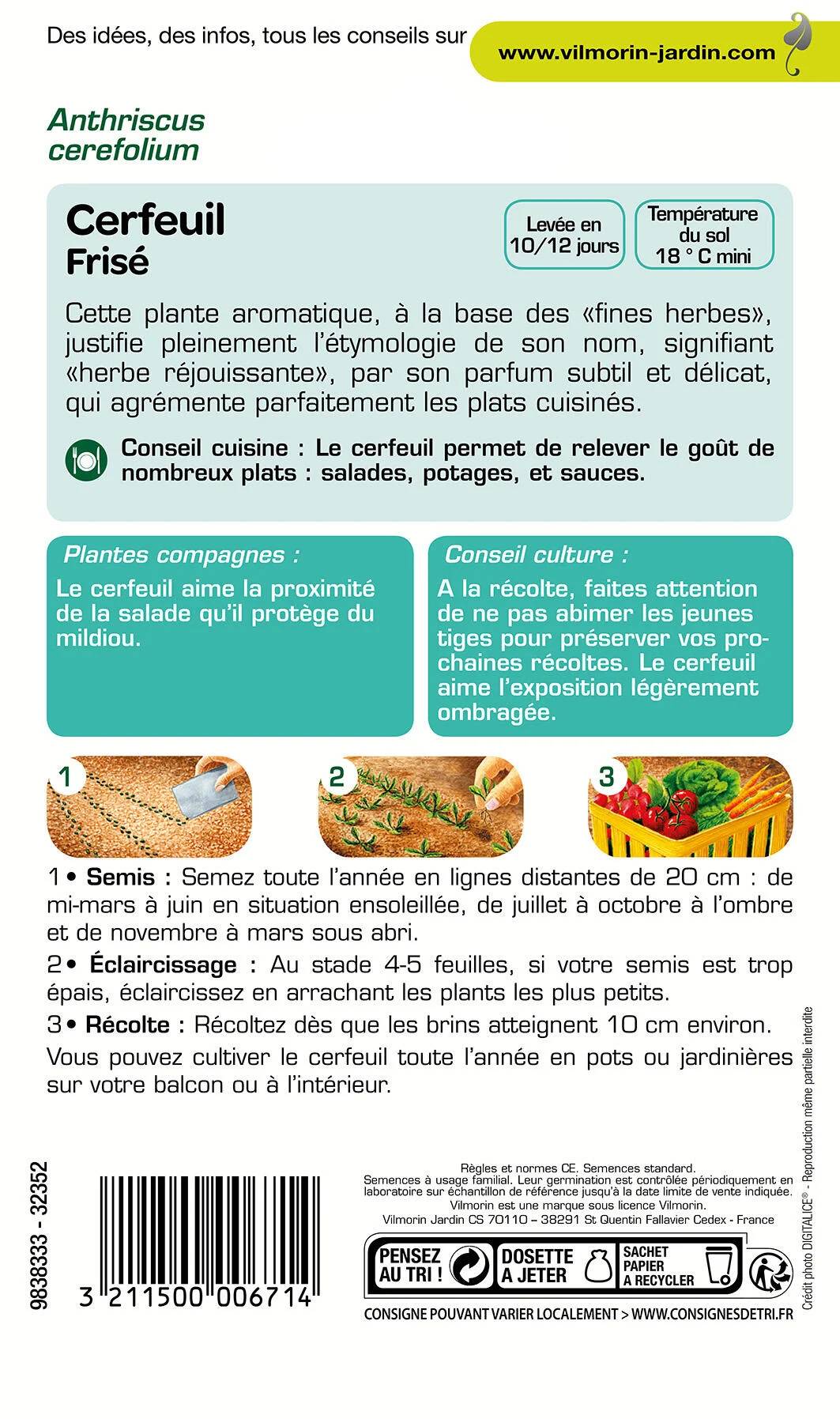 Vilmorin - Cerfeuil frisé série 1 sachet graines 2,5 g - Vilmorin - Image 4