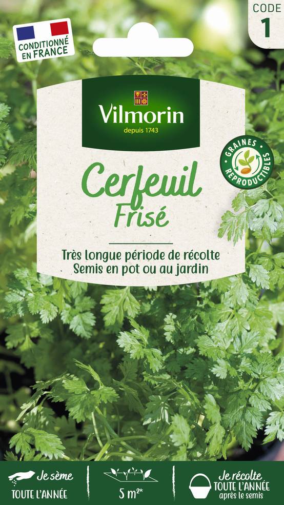 Vilmorin - Cerfeuil frisé série 1 sachet graines 2,5 g - Vilmorin - Image 1