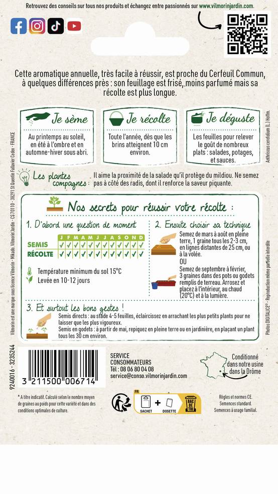 Vilmorin - Cerfeuil frisé série 1 sachet graines 2,5 g - Vilmorin - Image 3