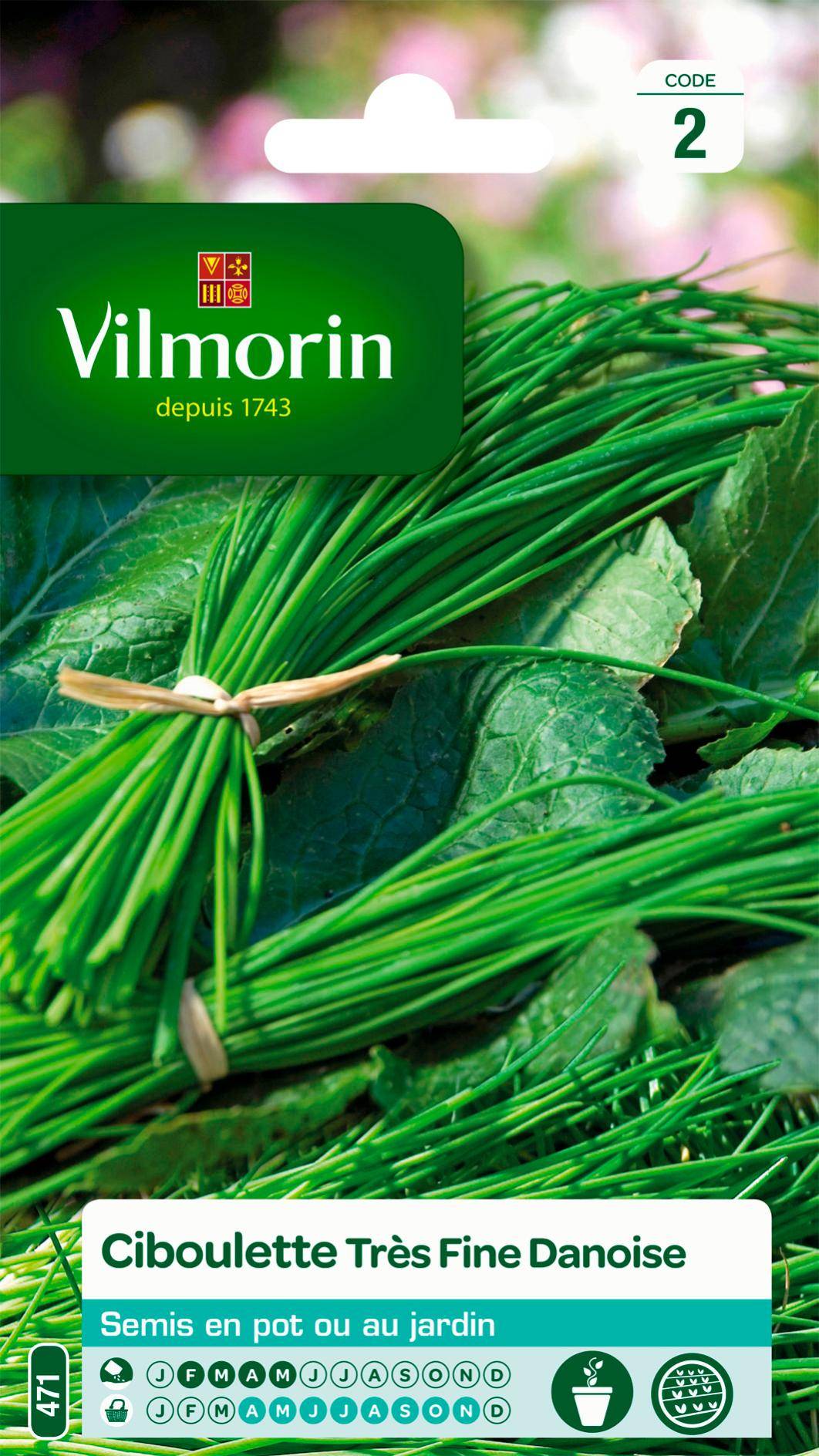 Vilmorin - Ciboulette très fine danoise série 2 sachet graines 1,5 g - Vilmorin