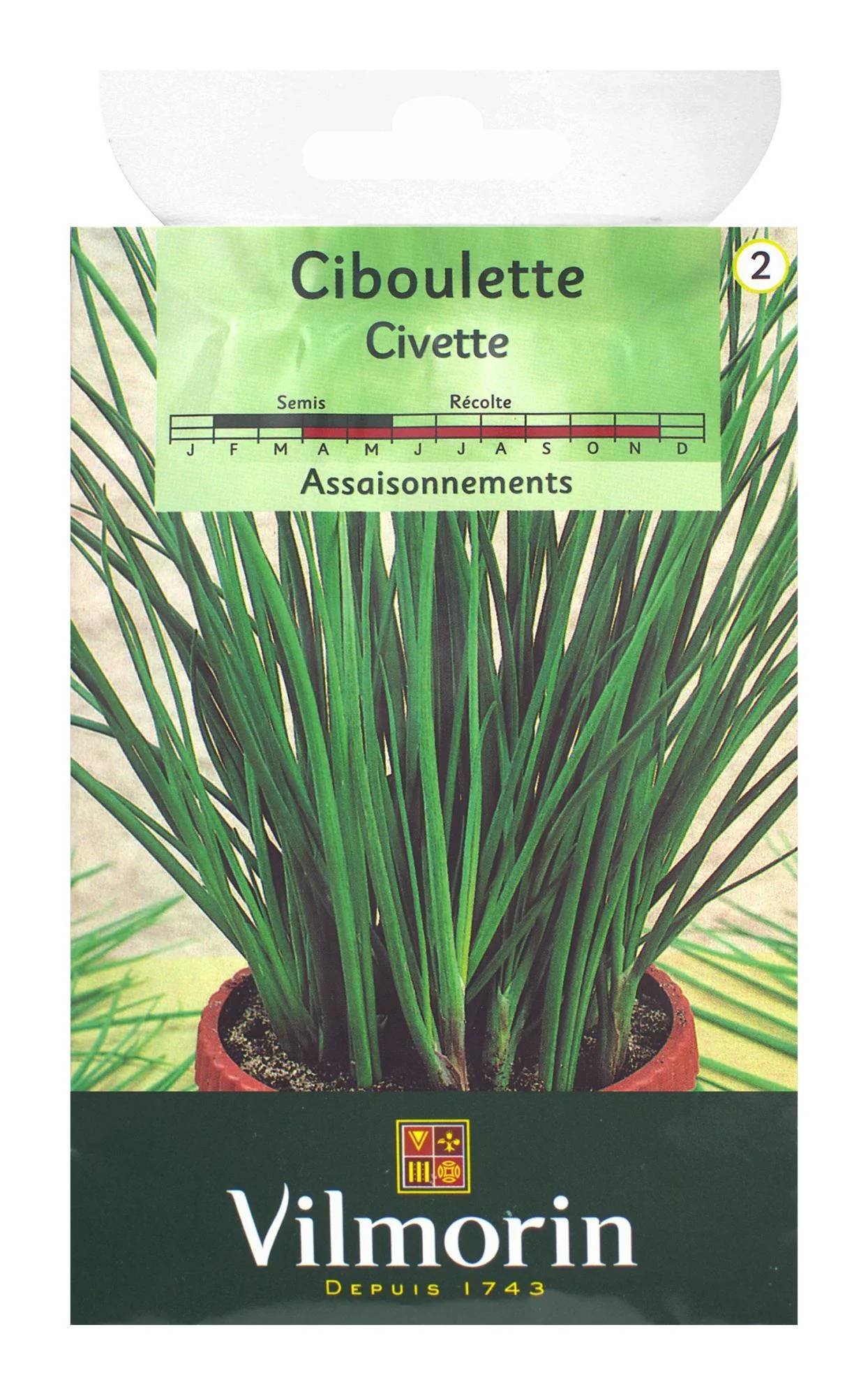 Vilmorin - Ciboulette très fine danoise série 2 sachet graines 1,5 g - Vilmorin - Image 2