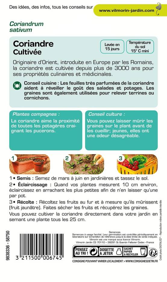 Vilmorin - Coriandre cultivée série 2 sachet graines 4 g - Vilmorin - Image 2