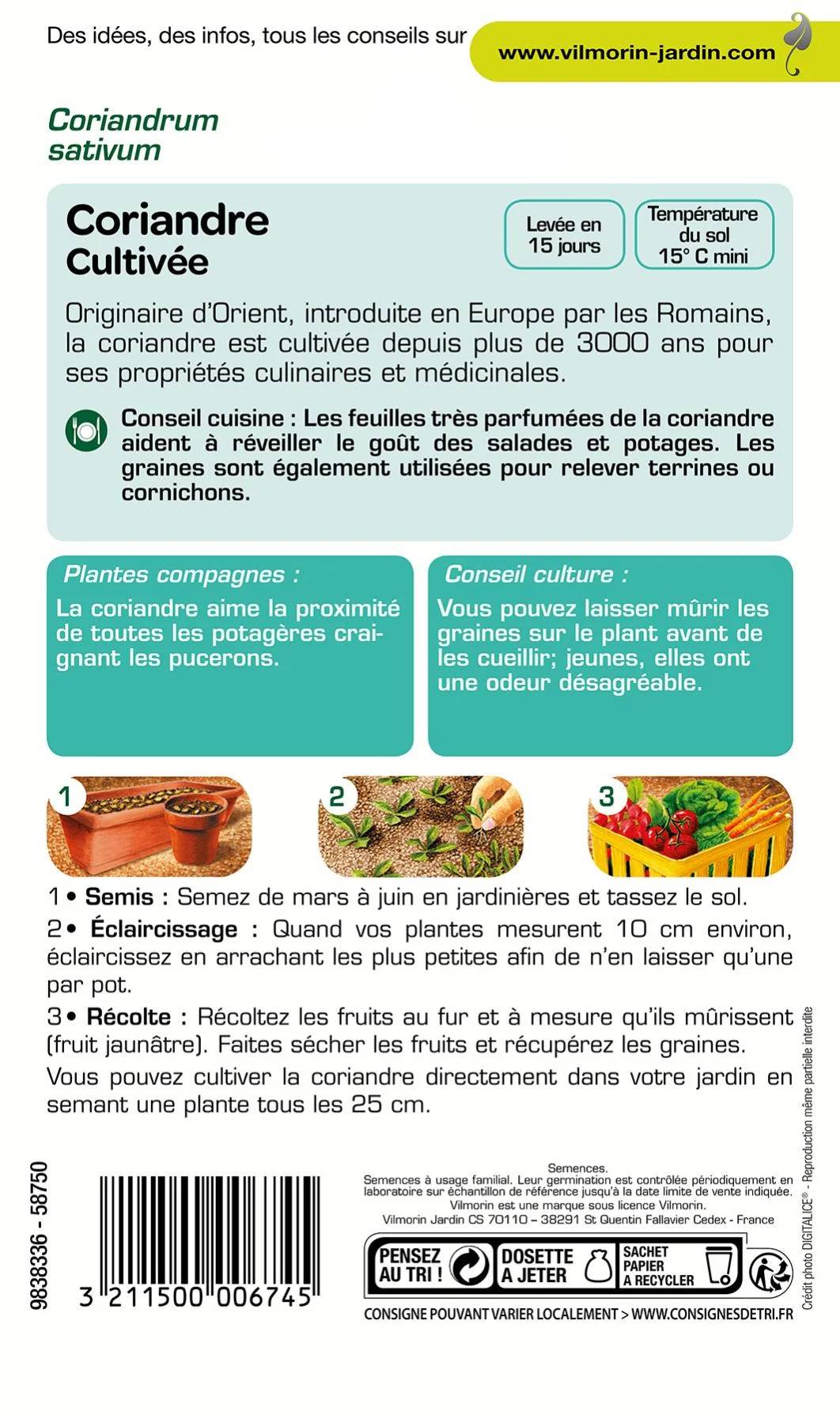 Vilmorin - Coriandre cultivée série 2 sachet graines 4 g - Vilmorin - Image 2