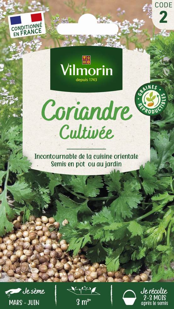 Vilmorin - Coriandre cultivée série 2 sachet graines 4 g - Vilmorin - Image 4
