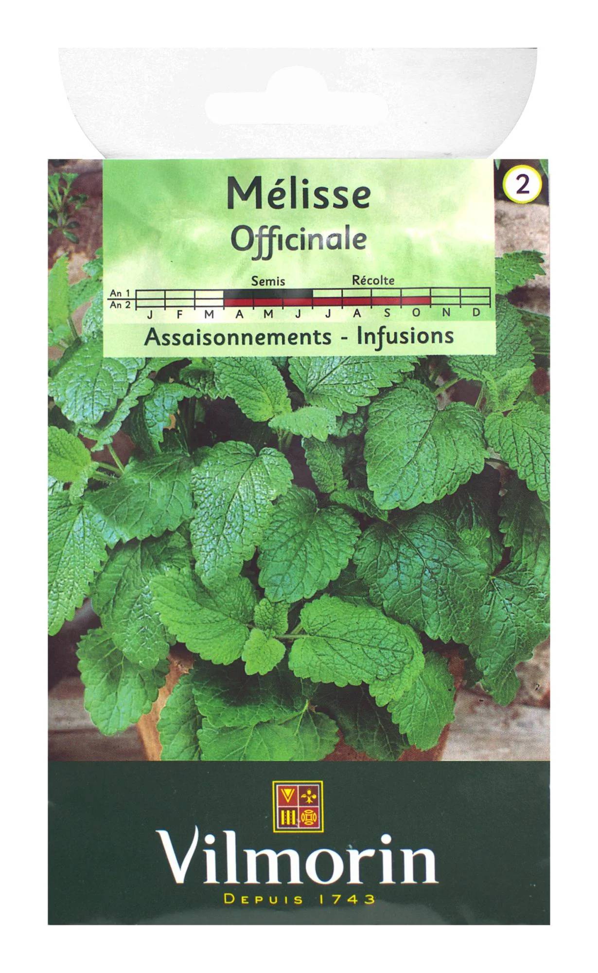 Vilmorin - Mélisse officinale série 2 sachet graines 1,5 g - Vilmorin - Image 4