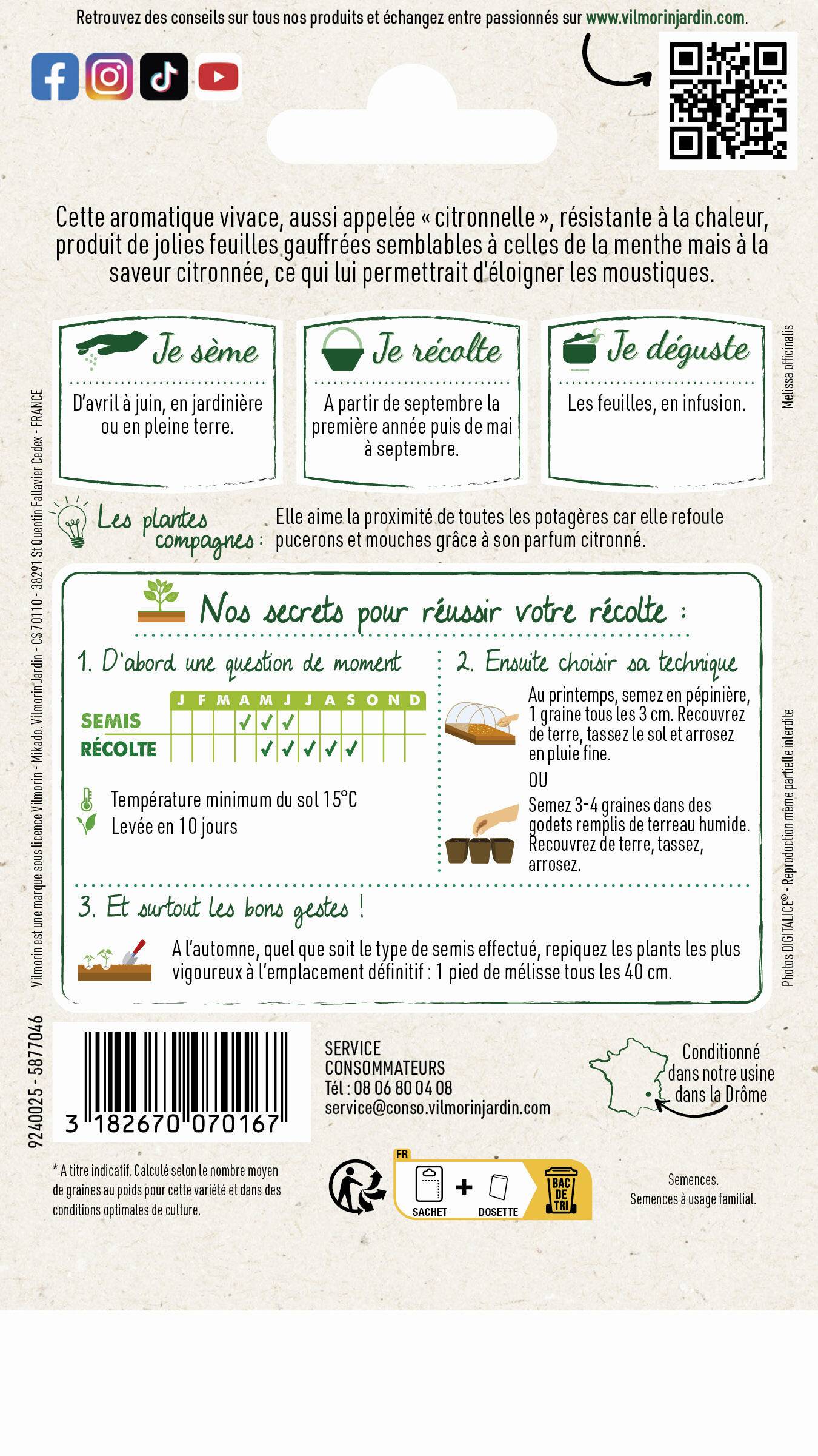 Vilmorin - Mélisse officinale série 2 sachet graines 1,5 g - Vilmorin - Image 3
