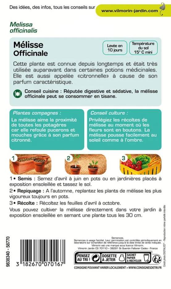 Vilmorin - Mélisse officinale série 2 sachet graines 1,5 g - Vilmorin - Image 3