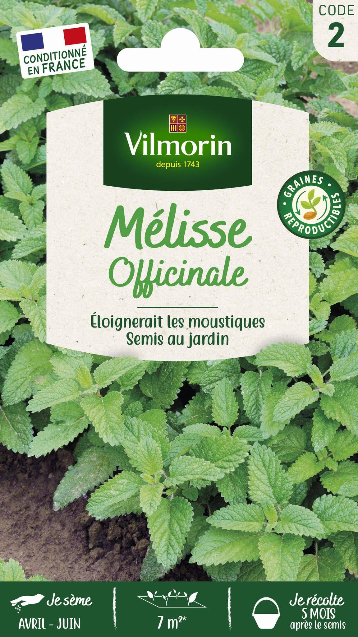 Vilmorin - Mélisse officinale série 2 sachet graines 1,5 g - Vilmorin - Image 4