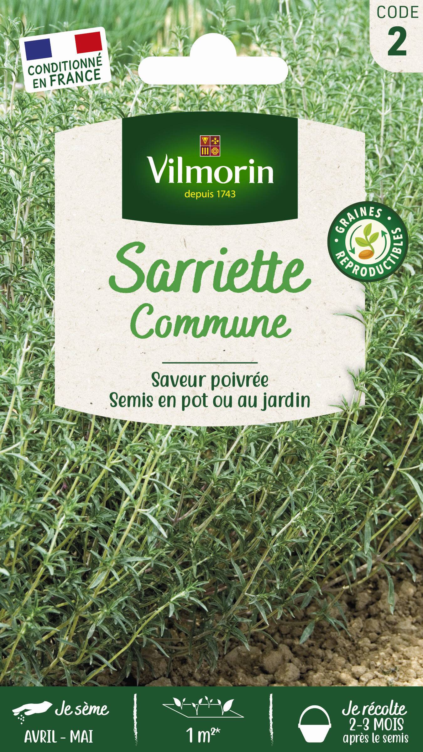 Vilmorin - Sarriette commune série 2 sachet graines 1,5 g - Vilmorin - Image 1