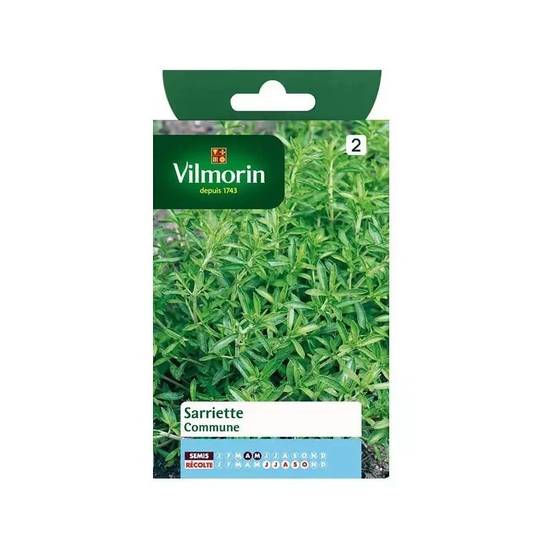 Vilmorin - Sarriette commune série 2 sachet graines 1,5 g - Vilmorin - Image 2