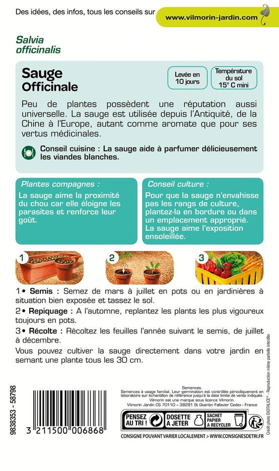 Vilmorin - Sauge officinale série 2 sachet graines 2 g - Vilmorin - Image 4