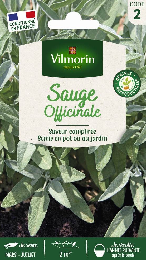 Vilmorin - Sauge officinale série 2 sachet graines 2 g - Vilmorin - Image 2