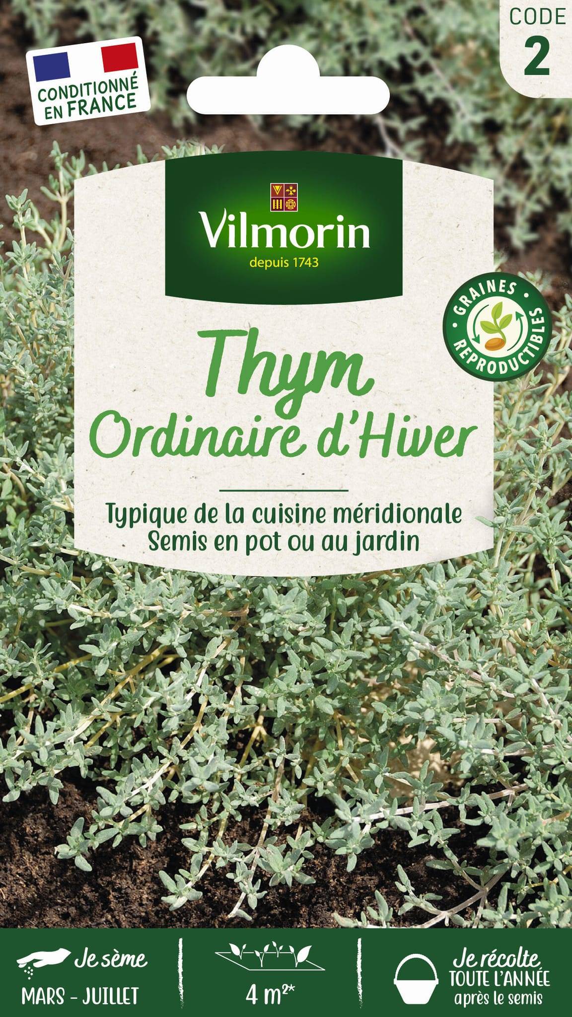 Vilmorin - Thym ordinaire série 2 sachet graines 0,5 g - Vilmorin - Image 2