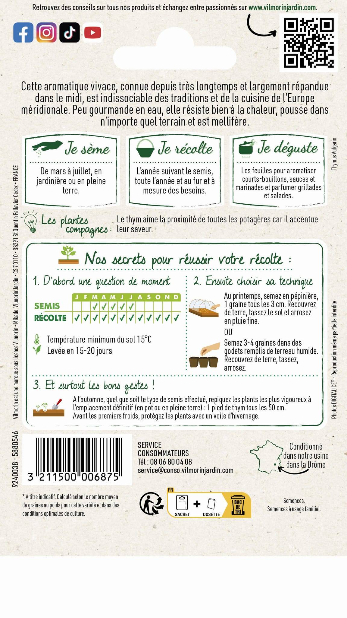 Vilmorin - Thym ordinaire série 2 sachet graines 0,5 g - Vilmorin - Image 3