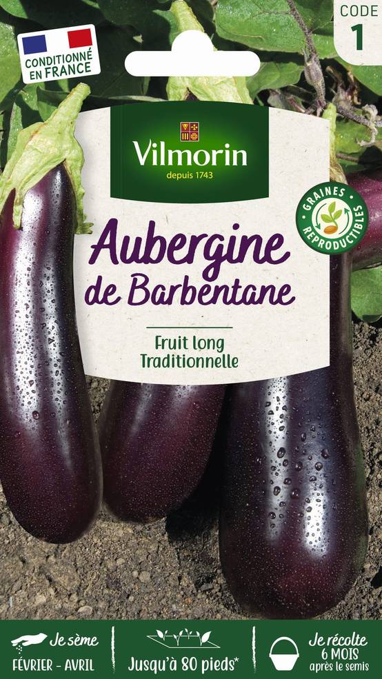 Vilmorin - Aubergine de Barbentane série 1 sachet graines 1,5 g - Vilmorin - Image 3