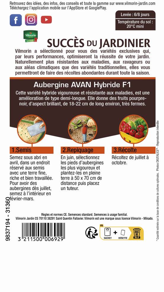 Vilmorin - Aubergine Avan hf1 création série 3 sachet graines 0,4 g - Vilmorin - Image 3