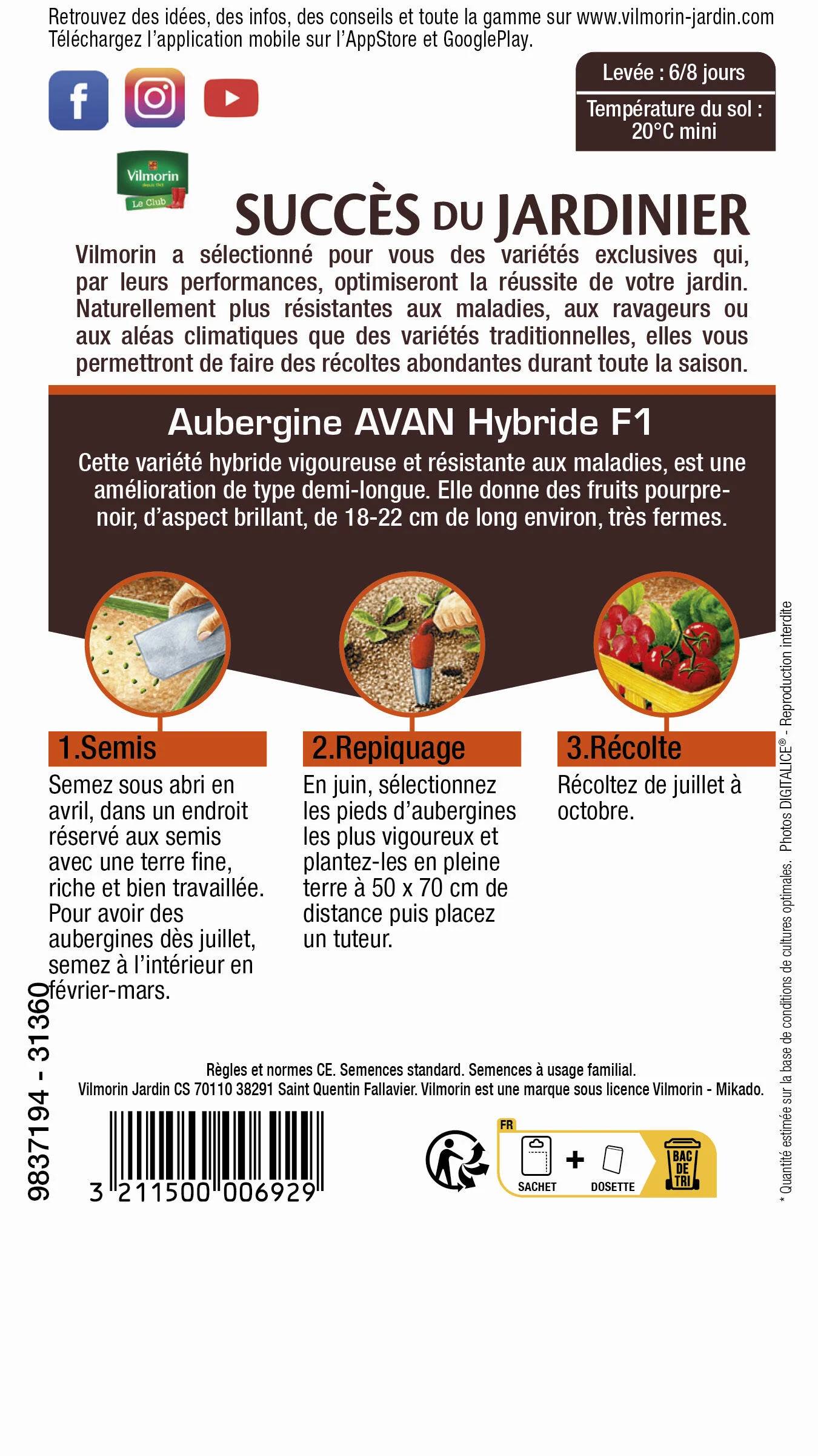 Vilmorin - Aubergine Avan hf1 création série 3 sachet graines 0,4 g - Vilmorin - Image 3