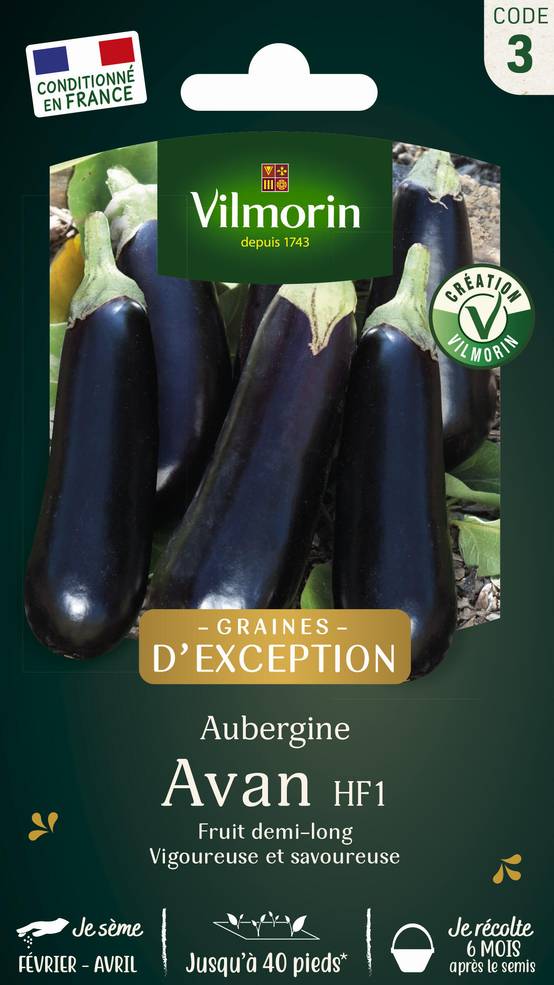Vilmorin - Aubergine Avan hf1 création série 3 sachet graines 0,4 g - Vilmorin - Image 1
