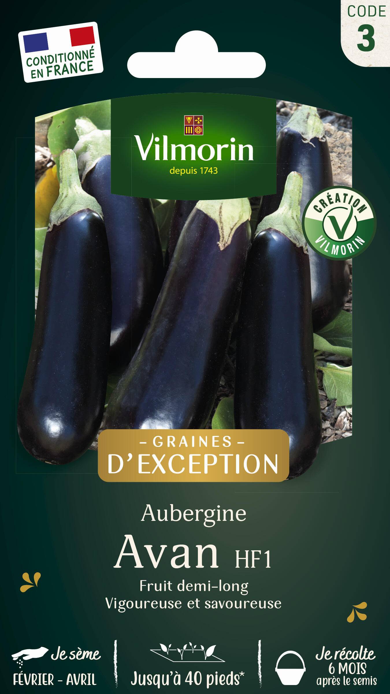Vilmorin - Aubergine Avan hf1 création série 3 sachet graines 0,4 g - Vilmorin