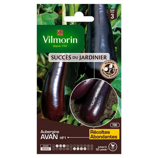 Vilmorin - Aubergine Avan hf1 création série 3 sachet graines 0,4 g - Vilmorin - Image 2