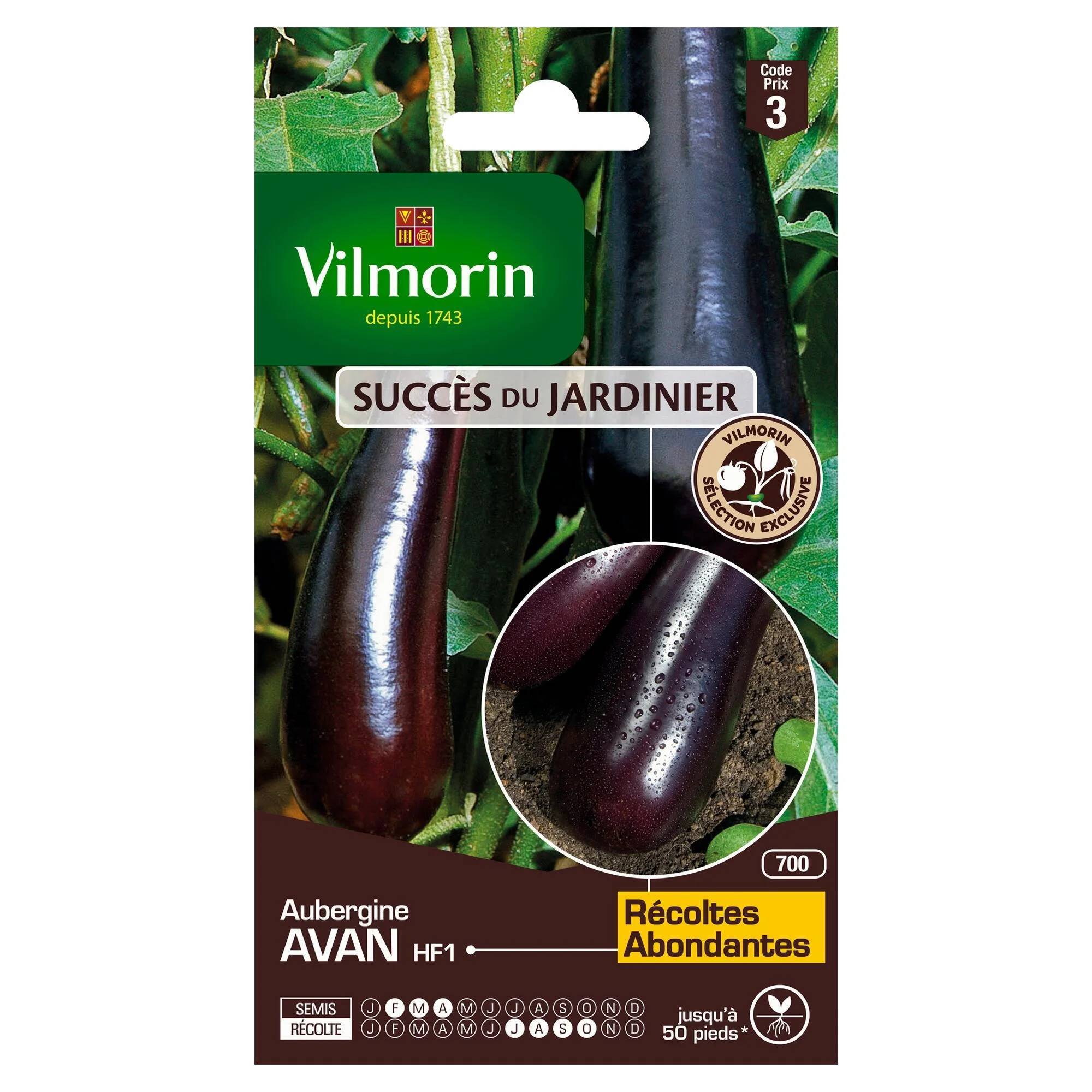 Vilmorin - Aubergine Avan hf1 création série 3 sachet graines 0,4 g - Vilmorin - Image 2