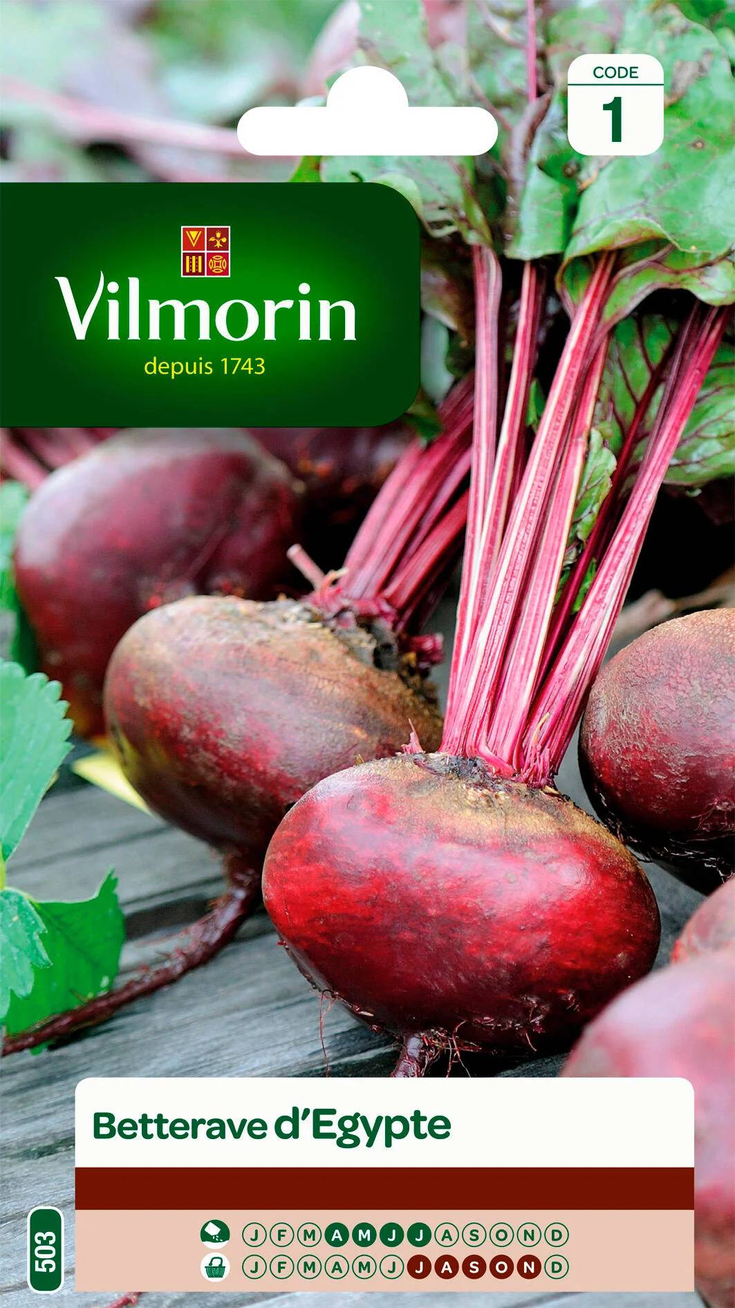 Vilmorin - Betterave potagère d'Egypte série 1 sachet graines 4 g - Vilmorin - Image 1