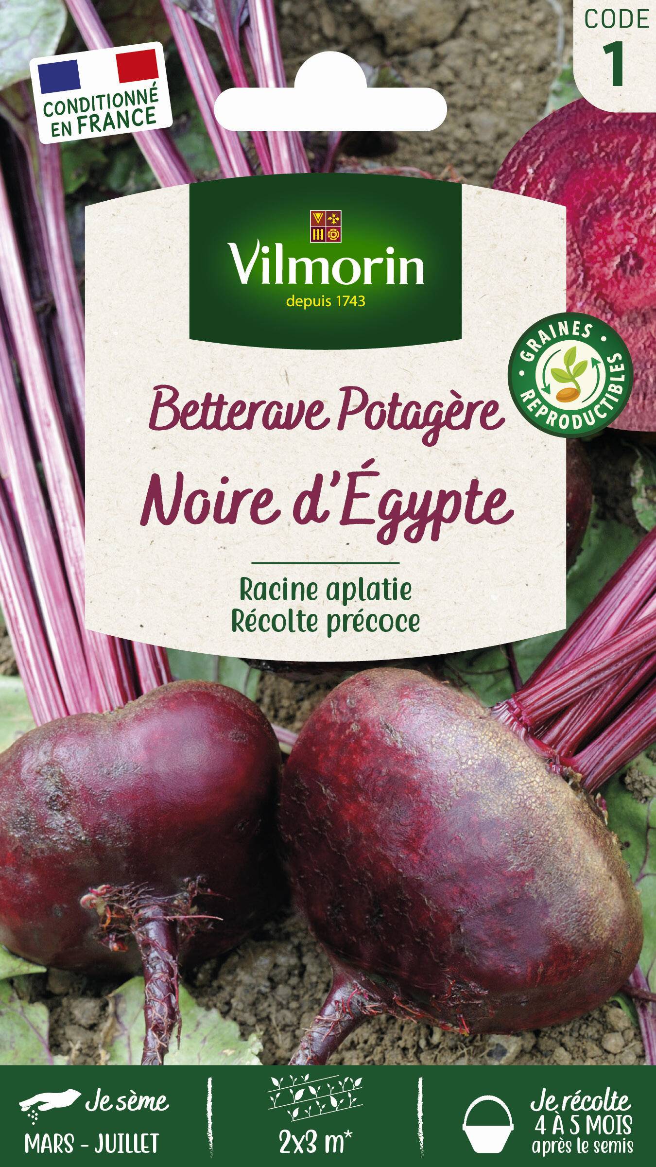 Vilmorin - Betterave potagère d'Egypte série 1 sachet graines 4 g - Vilmorin - Image 2