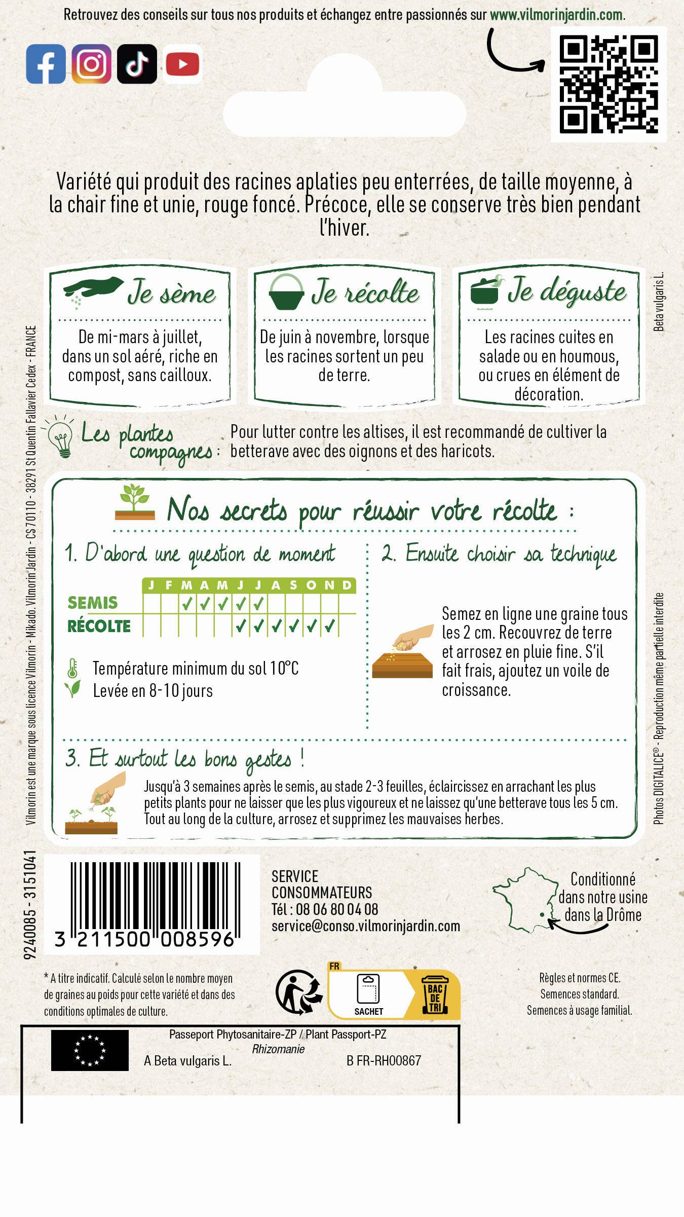 Vilmorin - Betterave potagère d'Egypte série 1 sachet graines 4 g - Vilmorin - Image 4