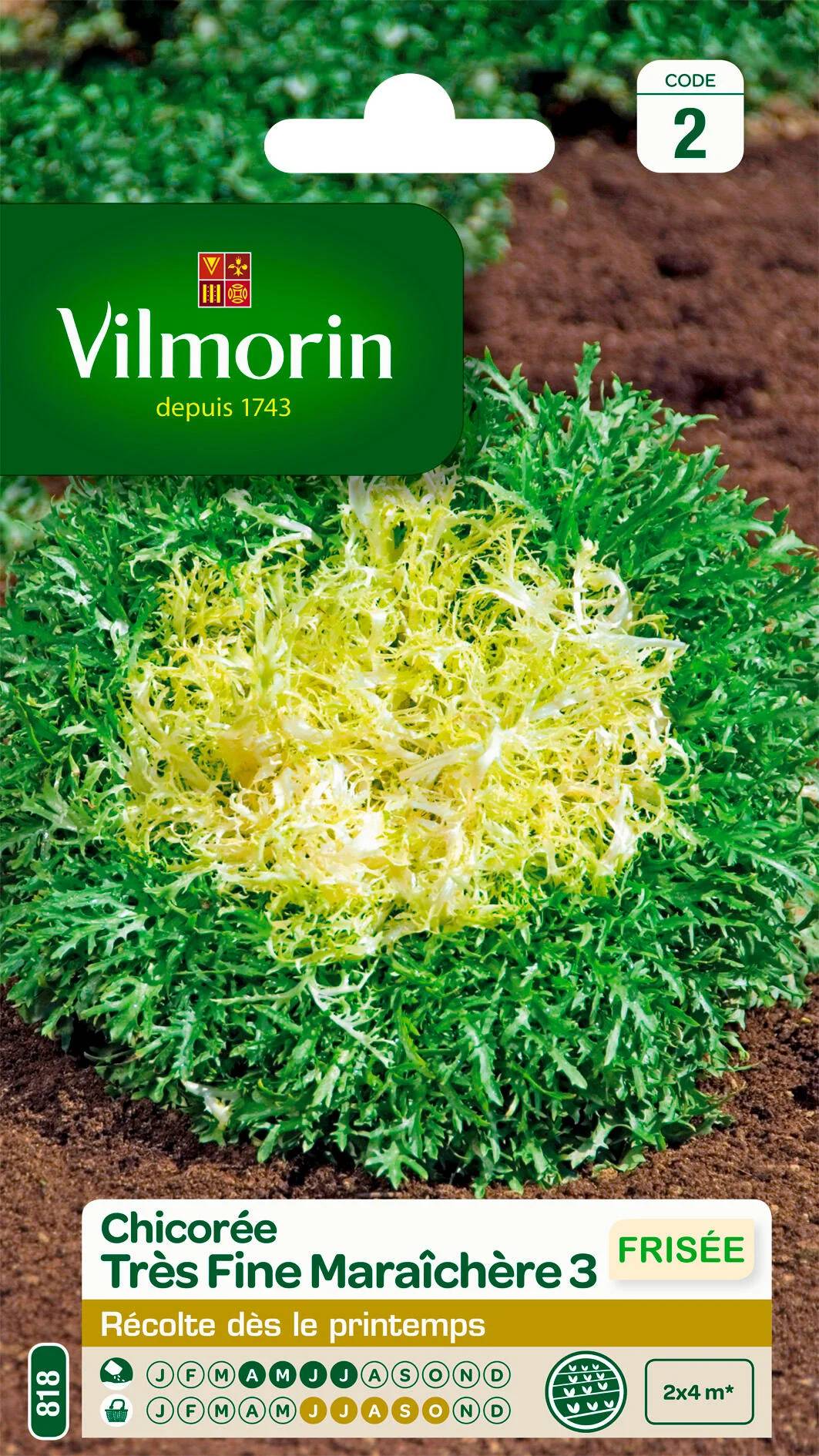 Vilmorin - Chicorée frisée très fine maraichère 3 série 2 sachet graines 4 g - Vilmorin - Image 1