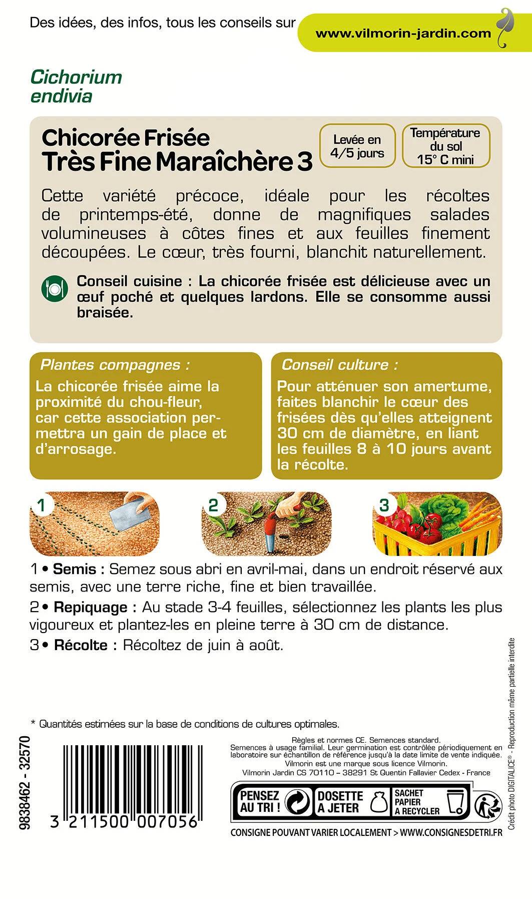 Vilmorin - Chicorée frisée très fine maraichère 3 série 2 sachet graines 4 g - Vilmorin - Image 3